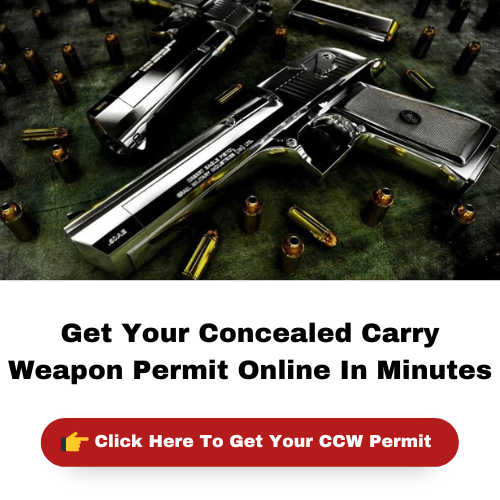 Concealed Carry Weapon (CCW) Gun Laws, Application