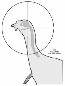 5 Surreal Printable Turkey Targets To Improve Your Aim – GLS Tactical